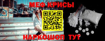 СК Гатчина