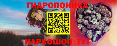 СК Гатчина