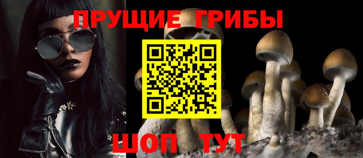 Белогорск  Галлюциногенные грибы мицелий  Вход с VPN 